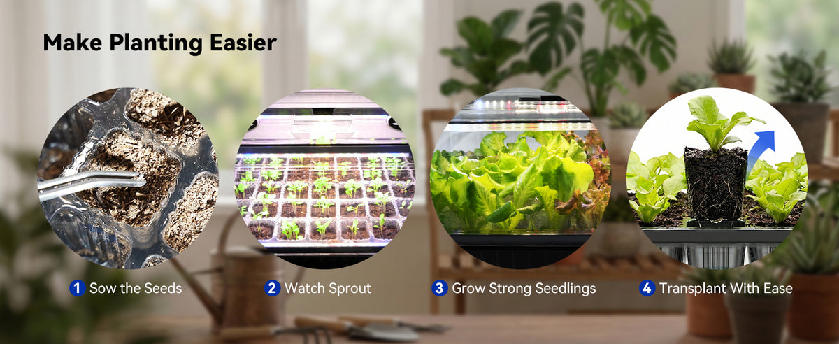 Four steps of planting using Glowrium G9 seed starter kit with grow lights