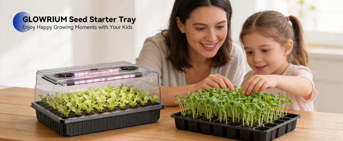 Using Glowrium G9 seed starter kit for indoor plant propagation