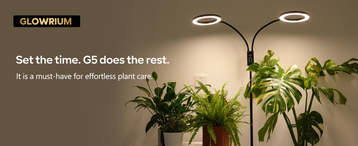 Glowrium G5 48W dual head smart floor grow light illuminating indoor peace lily, fern, and monstera deliciosa plants for effortless care