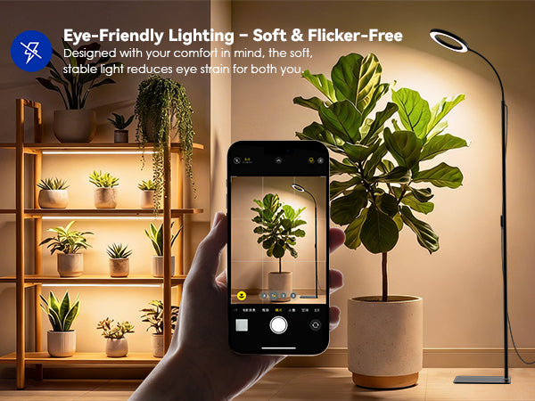 Flicker-free eye-friendly plant light by Glowrium G2 for fiddle leaf fig