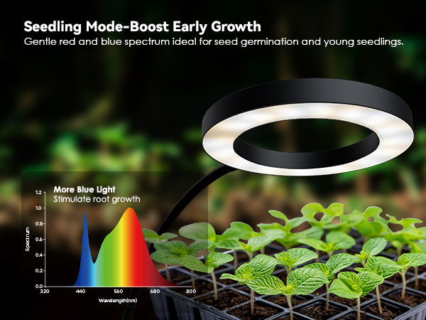 Glowrium G2 seedling mode blue light spectrum for plant root growth
