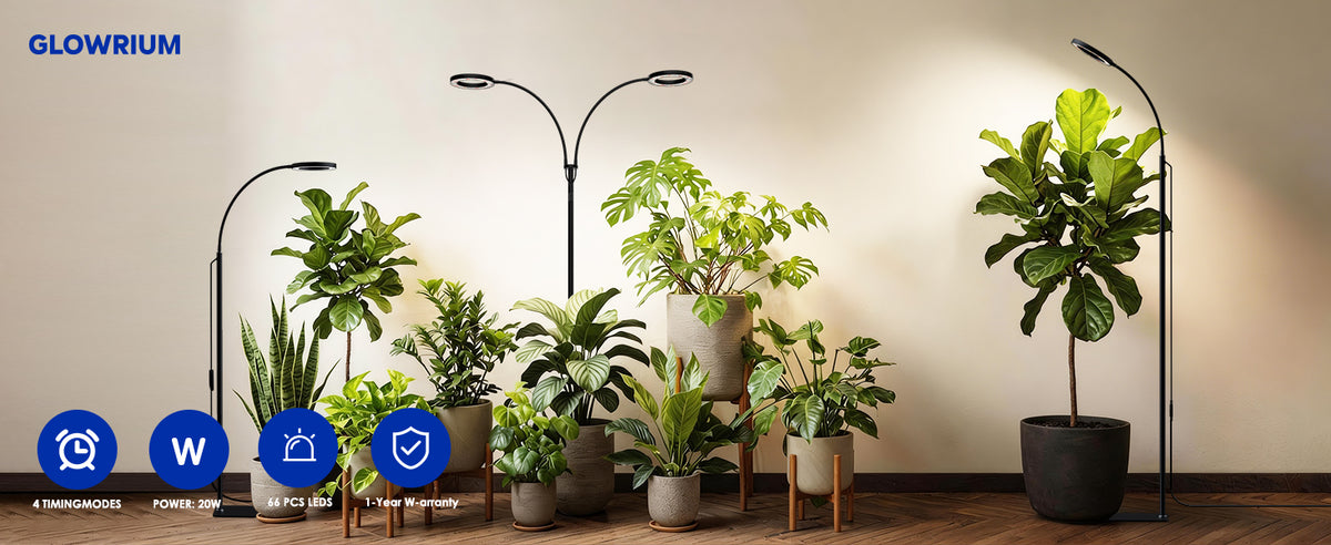 Glowrium G2 full spectrum floor grow light for multiple indoor plants