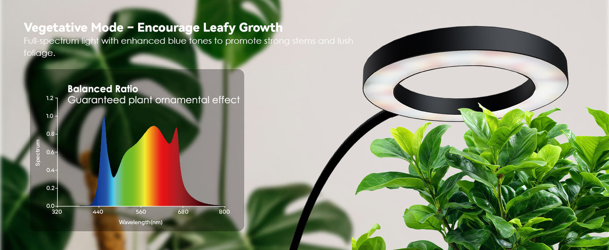Vegetative mode light spectrum by Glowrium G2 for lush foliage and strong plant stems