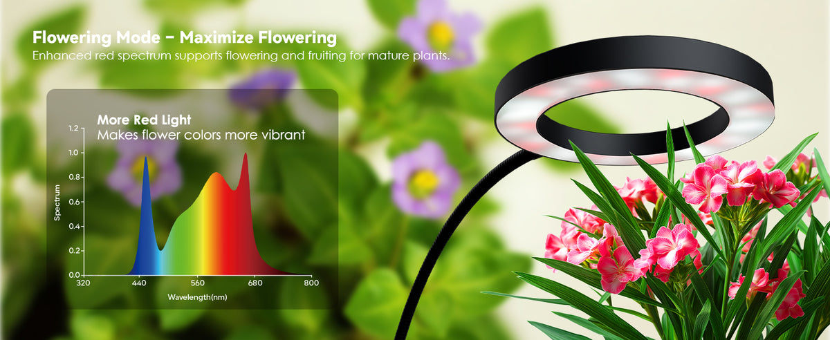 Glowrium G2 flowering mode red spectrum light boosting vibrant flower colors and fruiting for indoor plants
