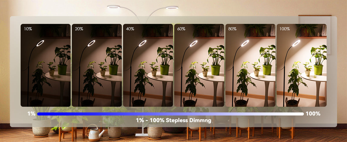 Glowrium G2 dimmable LED plant light showcasing 1% to 100% stepless dimming levels for home gardening