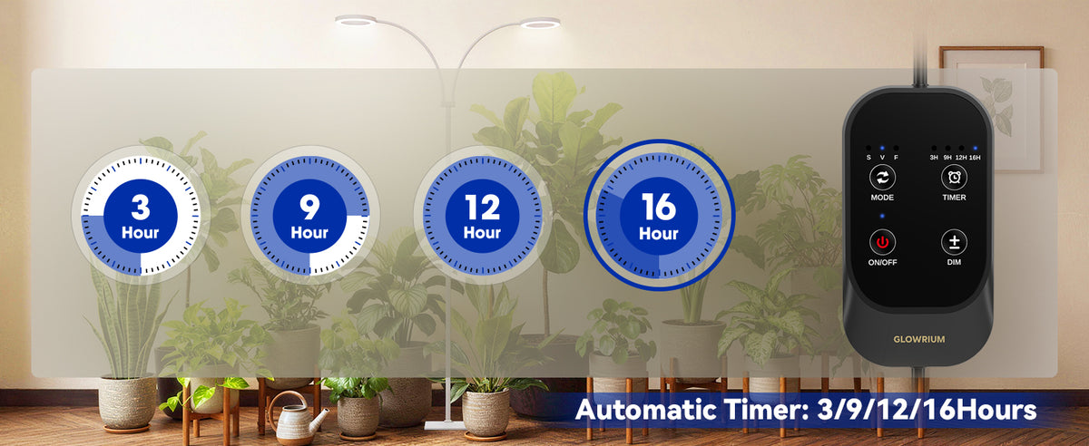 Glowrium G2 floor plant grow light with automatic timer controller setting for 3, 9, 12, or 16 hours