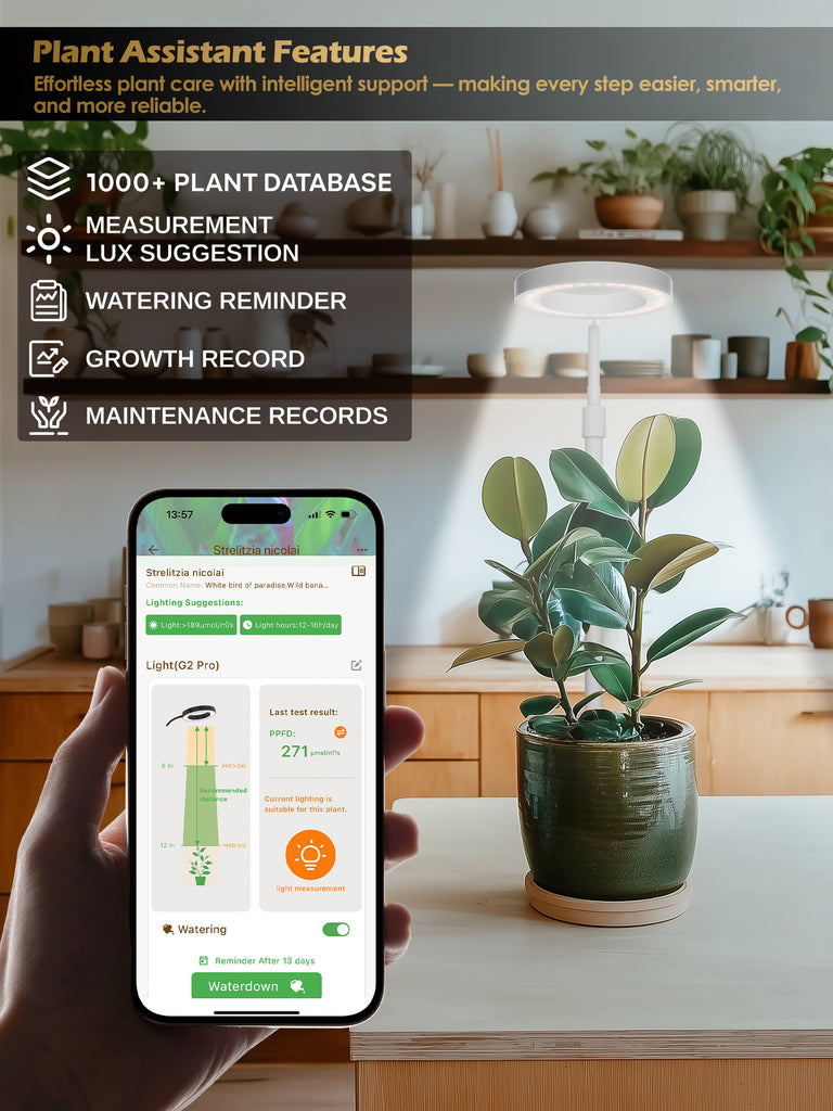 GLOWRIUM® G4 8W Smart LED Grow Light - Full Spectrum Indoor Plant Lamp with App Control, Adjustable Height, Dual Timer, Plant Care Assistant - (ONLY WHITE)