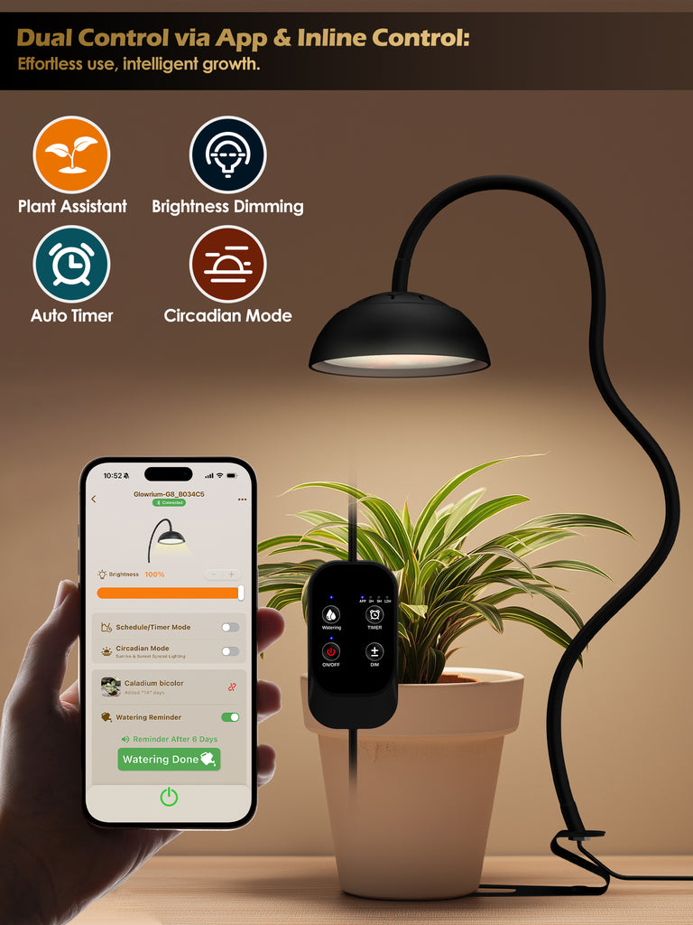 GLOWRIUM® G8 10W Smarte LED Pflanzenlampe - Vollspektrum-Pflanzenlicht für kleine Zimmerpflanzen