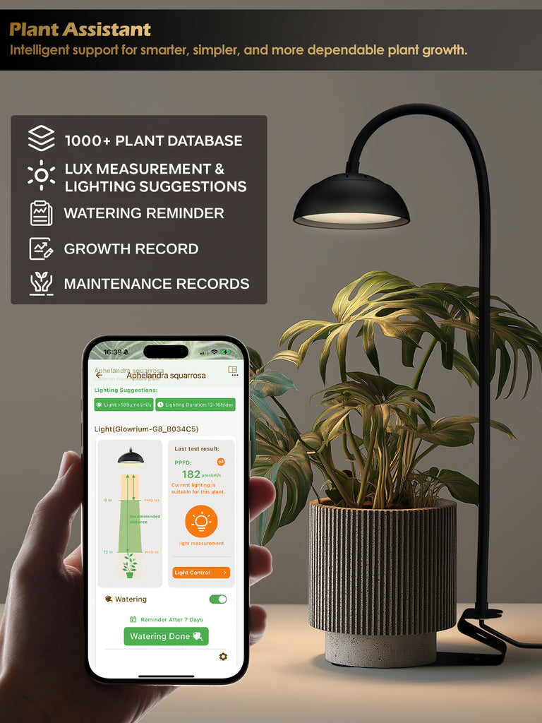 GLOWRIUM® G8 10W Smarte LED Pflanzenlampe - Vollspektrum-Pflanzenlicht für kleine Zimmerpflanzen