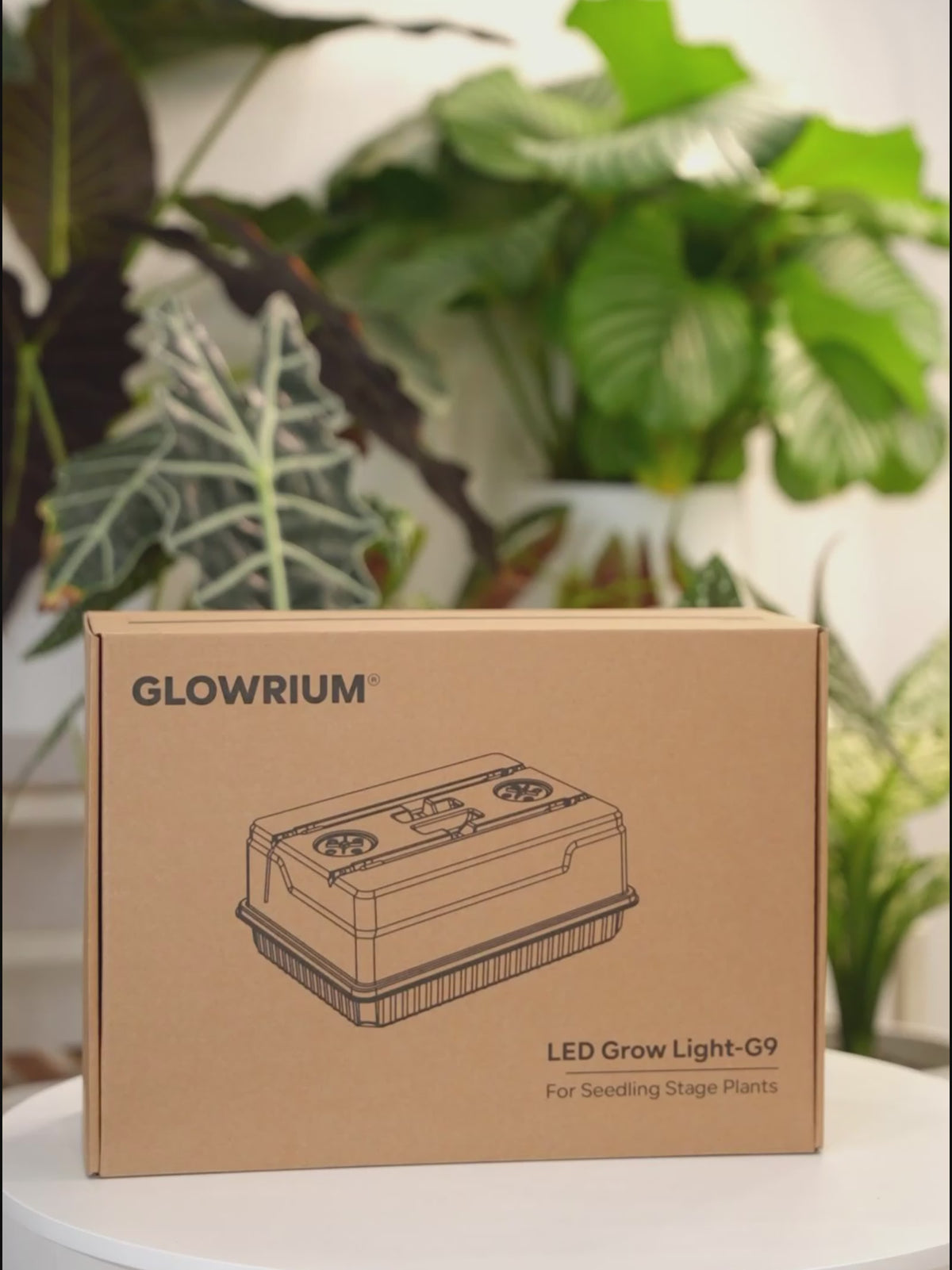 Comprehensive setup guide and feature review video for the Glowrium G9 seed starter kit