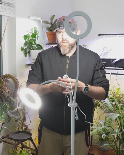 Hands-on video of home creators demonstrating the Glowrium G2 dual-head floor plant lamp in their living rooms, sharing vertical testimonials and real growth results for tall potted greens