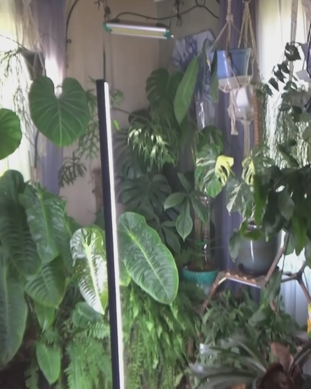 A video of influencers reviewing and testing the Glowrium G3 LED grow light