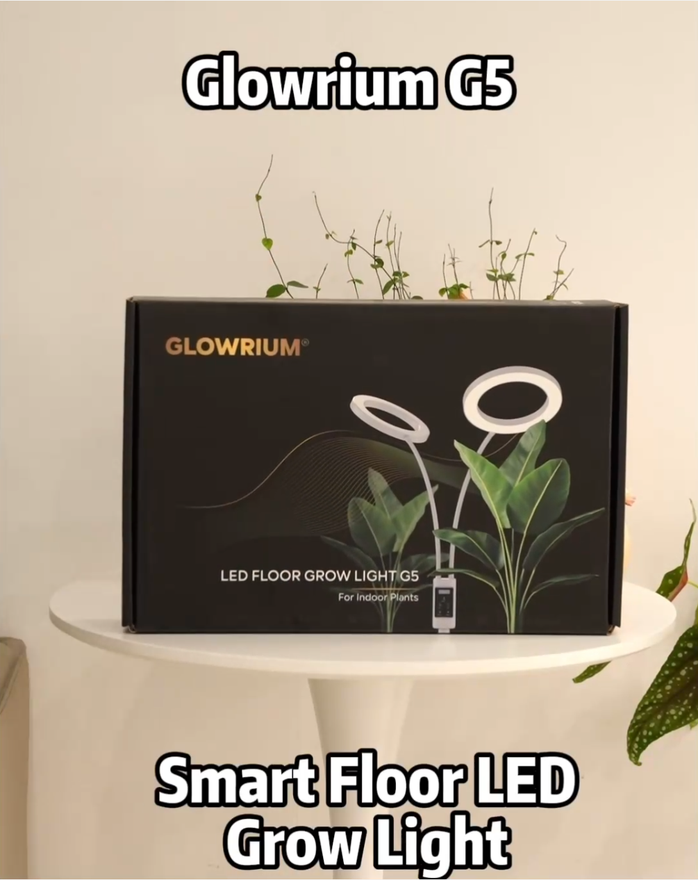 Real-life unboxing video of Glowrium G5 tall plant light demonstrating smart app control and high PPFD coverage for indoor trees