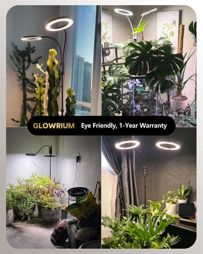 Glowrium G5 eye-friendly dual head floor grow light used in living rooms for cactus, monstera, and indoor house plants